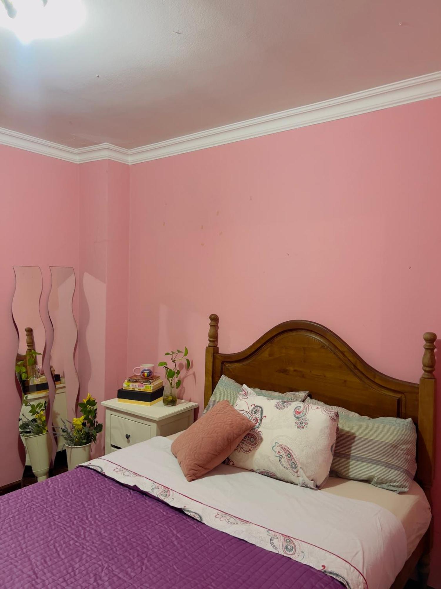 Pink House -