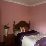 Pink House - Lisbon